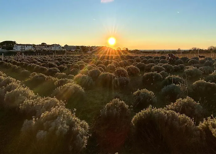 Beautiful In With Kitchen Tatil Evi *