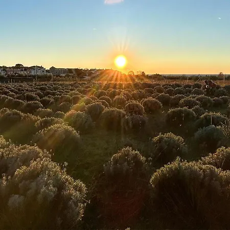Beautiful In With Kitchen 度假居 *